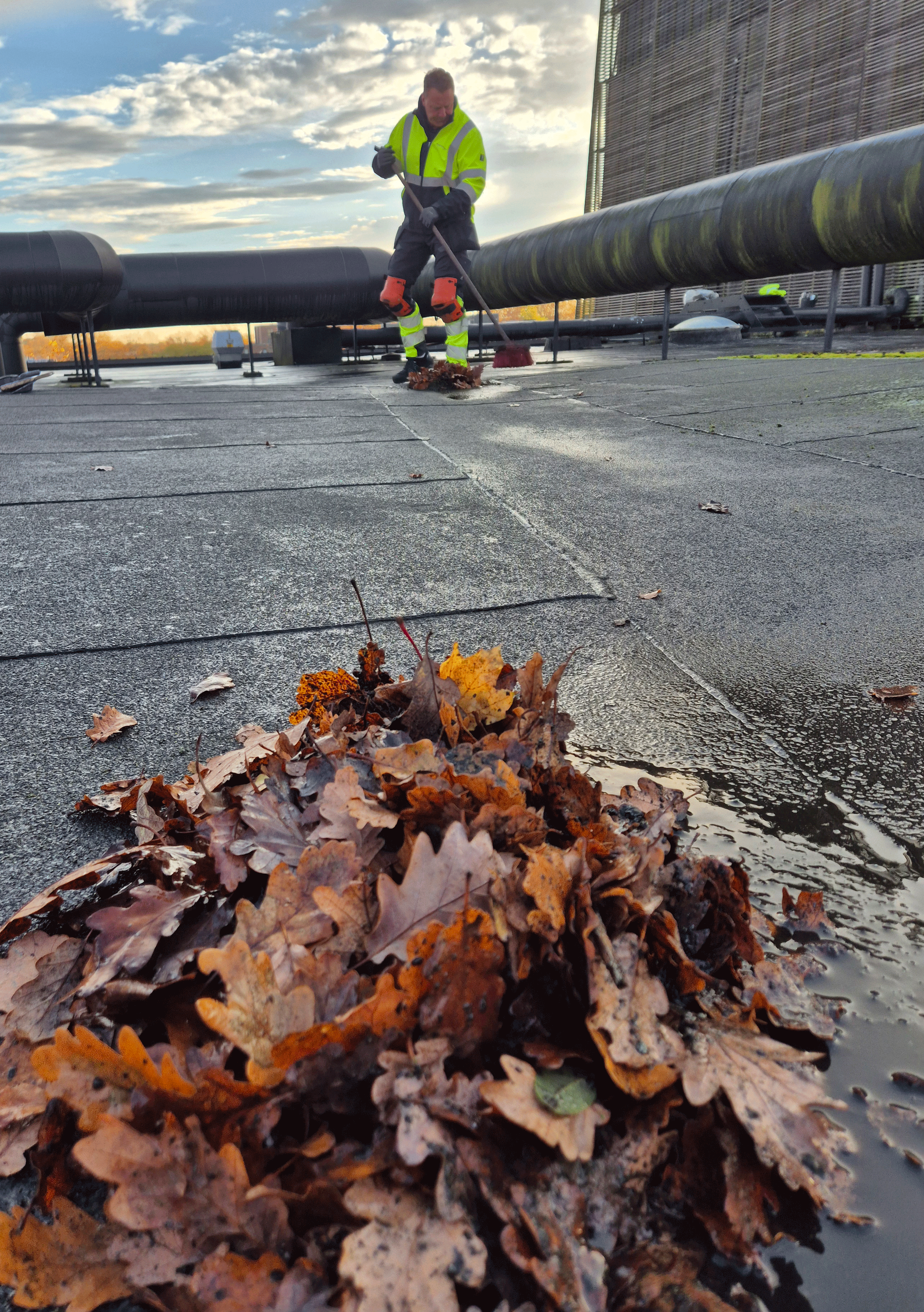 Service og vedligehold