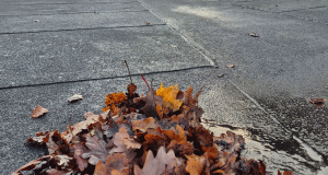 Service og vedligehold